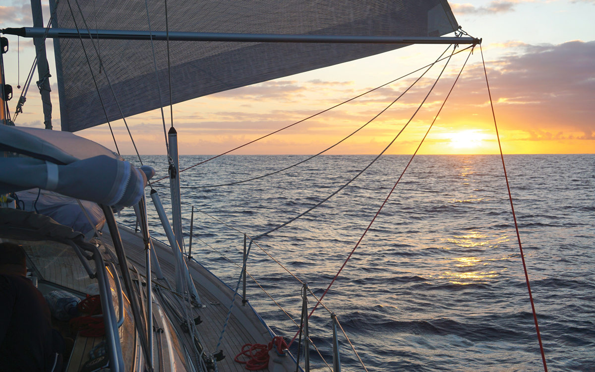 2019-arc-survey-sail-handling-poled-out-genoa-Hallberg-Rassy-48-Sally-credit-Jonas-Edlund