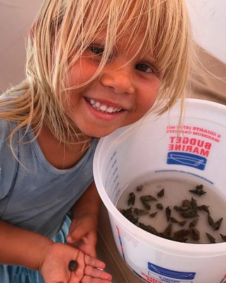 caribbean-cruising-chris-draper-family-sea-snails