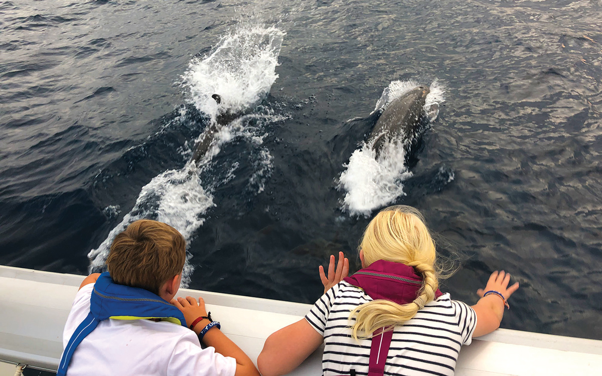 pacific-sailing-homeschooling-World-ARC2019-dolphin-spotting