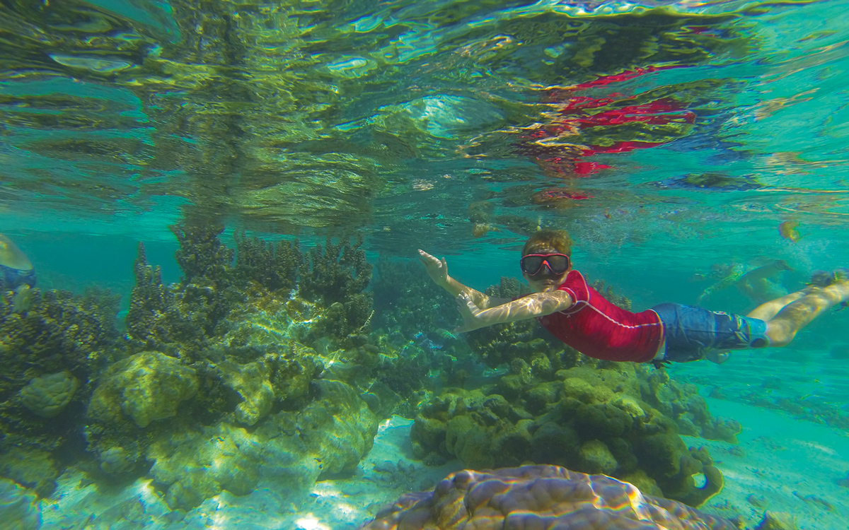 pacific-sailing-homeschooling-World-ARC2019-dolphin-swimming