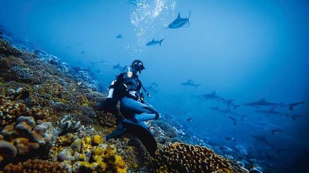 Under the sea