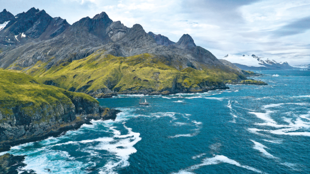 Vinson probing into a cove looking for nests.